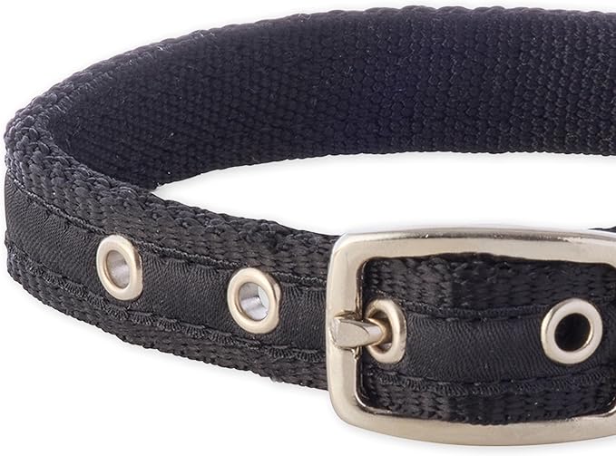 Adjustable Recycled Ribbon Dog Collar for All Pet Breeds, Black, X-Small