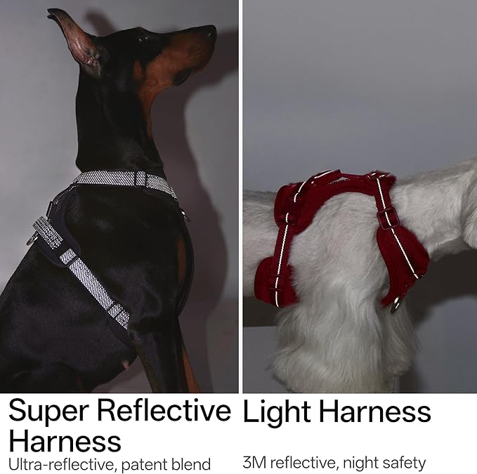 All-Weather No Pull Dog Harness Reflective Vest Harness QR Code Anti-Lost Adjustable Quick-Release Buckle Soft Padded Breathable Harness for Small Dogs (Super Reflect-Earth, XS)
