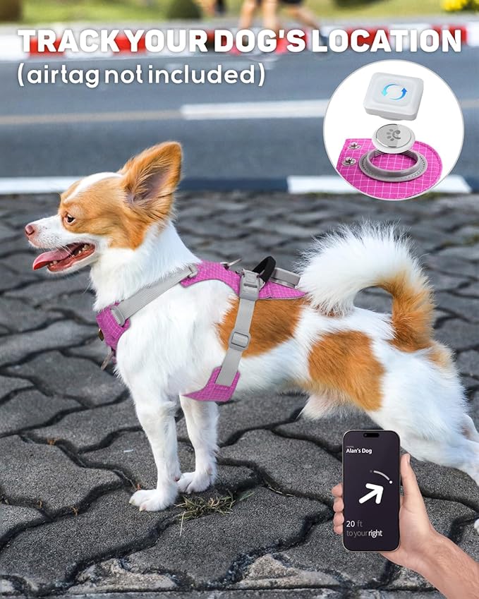 TagME No Pull Dog Harness with 2 Leash Clips,Lightweight & Visible for All-Day Walking,No Choke Pet Vest Includes AirTag Holder for Small Dogs,Fuchsia Pink