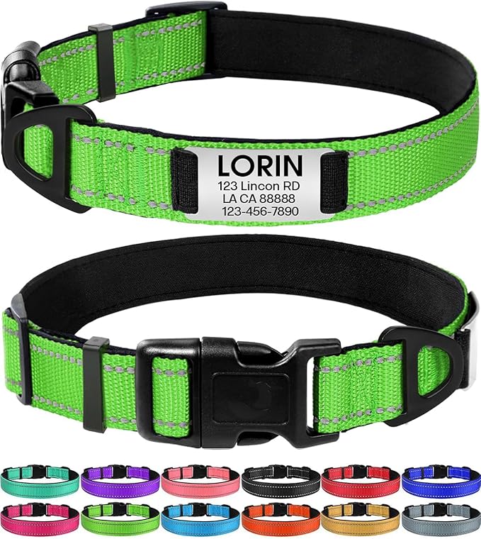Joytale Personalized Dog Collars with Engraved Name Plate, Silent No Jingle Custom Nylon Collar with Fixed ID Tag, Reflective Soft Neoprene Padded Breathable for for Large Dogs, Green