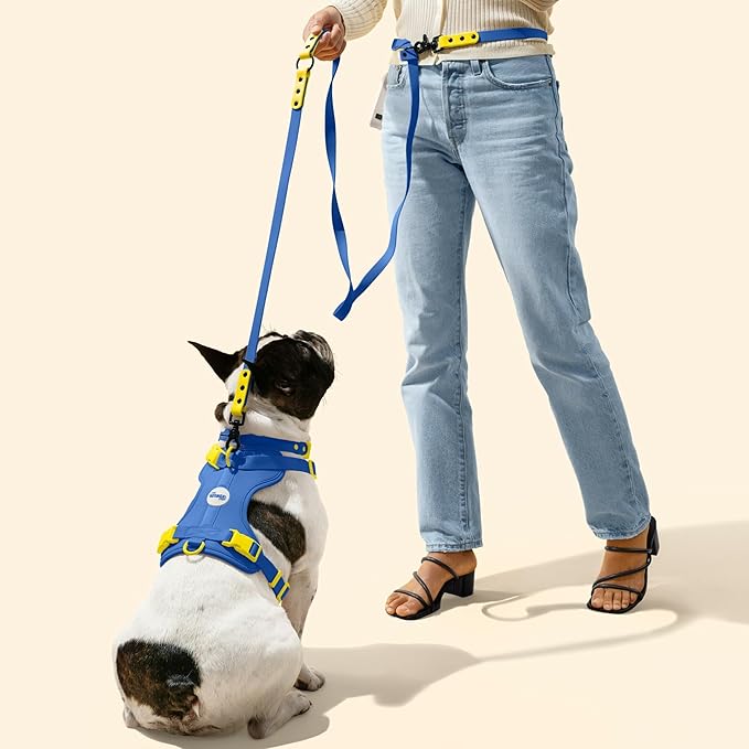WLK1004C-5SET Luna Small 8FT Adjustable 6-in-1 Waterproof Hands-Free Leash and Collar with LED Flashlight, Bag Dispenser, and Poop Bag Holder, Curaçao