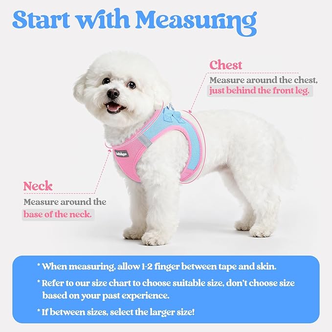 rabbitgoo Dog Harness Small Sized and Leash Set, Step in Soft Light Puppy Vest, Breathable Mesh Pet Harness, Reflective for Safe Easy Walking, Blue & Light Pink M