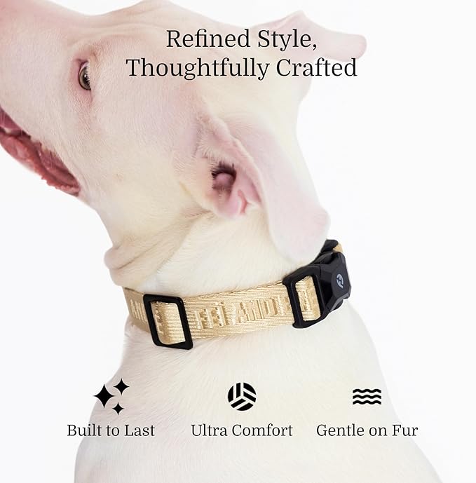 2026 New Edition, Fei & Eve MagEase Dog Collar - Patented Magnetic Buckles | Fur-Safe | Premium 210D Nylon | 450LB Escape-Proof | Adjustable Fit | Large (Champagne)