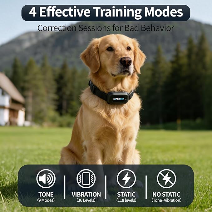 ABBIDOT Dog Shock Collar, 4100FT Dog Training Collar with Remote，IPX7 Waterproof Rating，6 Training Modes (Beep, Vibration, Safe Shock), Enhanced Night Light, Rechargeable E-Collar for Dogs 10-120 lbs