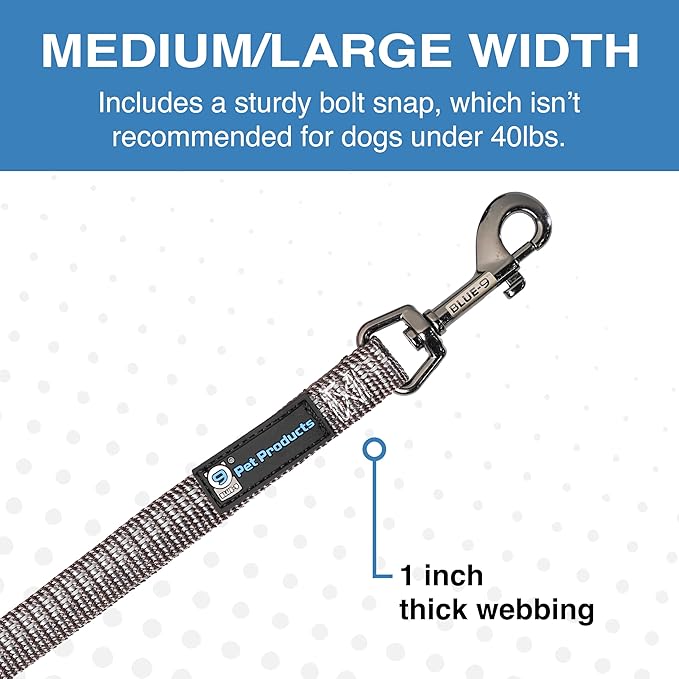 Blue-9 Reflective Multi-Function Dog Leash, Double Attachment Adjustable Lead for Obedience Training and Running, 6 Feet, Made in The USA, Medium/Large, Grey