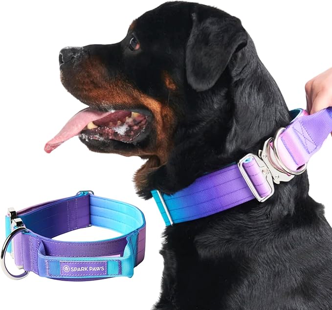 Spark Paws Tactical Dog Collar - Heavy Duty, Premium Quality, Thick and Durable for Large and Medium Dogs - 90s Retro - L - 1.5"