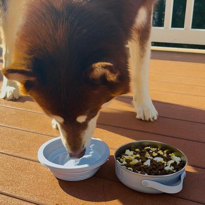 Blue Slow Feeder Travel Dog Bowl Set | 30oz Stainless Steel + 20oz Collapsible Silicone Dish | Water Bottle Holder| Non-Slip, Anti-Choking, BPA-Free | We Give Back