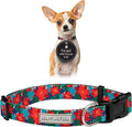 Lucky Love Dog - Adjustable Dog Collar with Easy Click Noel for Small Ones, Durable, & Comfortable for Male & Female Dogs, Pet Collar for Puppies & Adult Dogs - Noel, XS