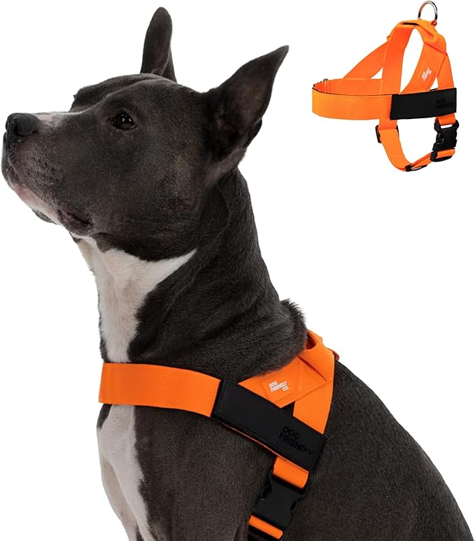 DF Co. Dog Harness | Chafe Resistant Webbing, Adjustable Neck & Chest, and Heavy Duty D-Ring | Sturdy, Comfortable, Easy to Use | Hi-Vis Orange, Size XL