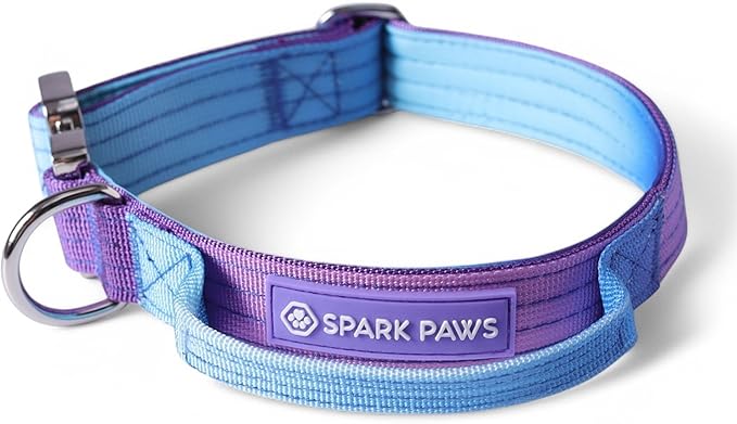Spark Paws Tactical Dog Collar - Heavy Duty, Premium Quality, Thick and Durable for Large and Medium Dogs - 90's Retro - XS - 1"
