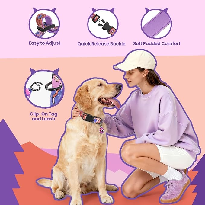 Dog Collar and Leash Set, QR Tag Adjustable Pet Collar, 5 FT Heavy Duty Dog Leash, Padded Handle, Quick Release Buckle, Metal Ring, 360° Swivel Clip for Medium Dogs Walking Running (Purple, M)