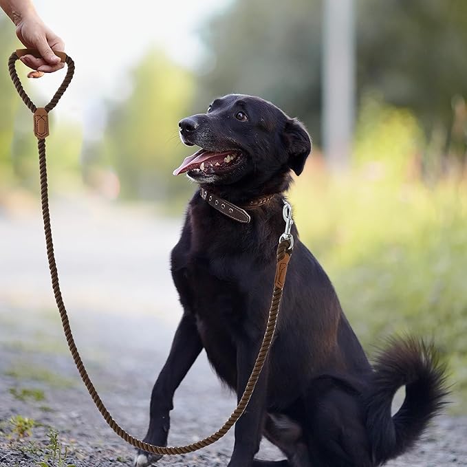 Mile High Life Dog Leash, Braided Cotton Rope Leashes with Leather Handle - Heavy Duty Metal Clasp, 6FT, 1/2" Thick - Wedding, Walking & Training Leash for Small Medium Large Dogs (Dark Brown)