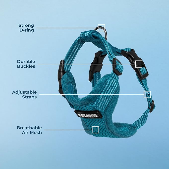 Voyager Step-in Pet Harness - All Weather Mesh, Adjustable Step in Harness for Cats and Dogs by Best Pet Supplies - Turquoise, L