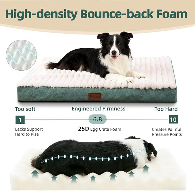Orthopedic Dog Bed with Firm High-Density Egg Crate Foam, Machine Washable Cover & Non-Slip Bottom for Medium & Large Breeds (Green, 35" L x 22" W x 3" H)