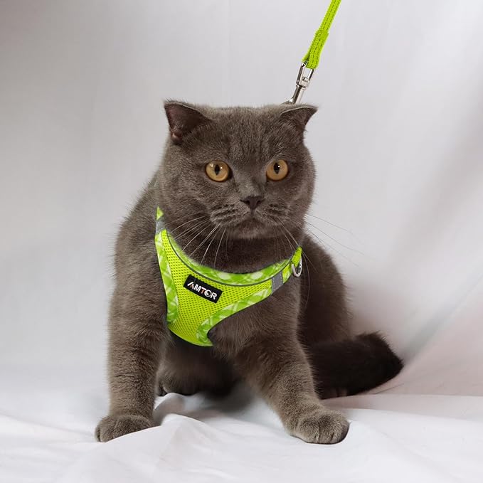 AMTOR Small Dog Harness with Leash Set, No Escape Easy Walk Puppy Harnesses for Training Walking, Step-in Reflective Soft Dogs Vest for XS S Medium Extra-Small Large Sized Dog(L Size,Green/White)
