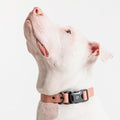 2026 New Edition, Fei & Eve PVC MagEase Dog Collar - Patented Magnetic Buckles | Quick-Release | 450LB Escape-Proof | Fur-Safe | Adjustable Fit | Medium Blush