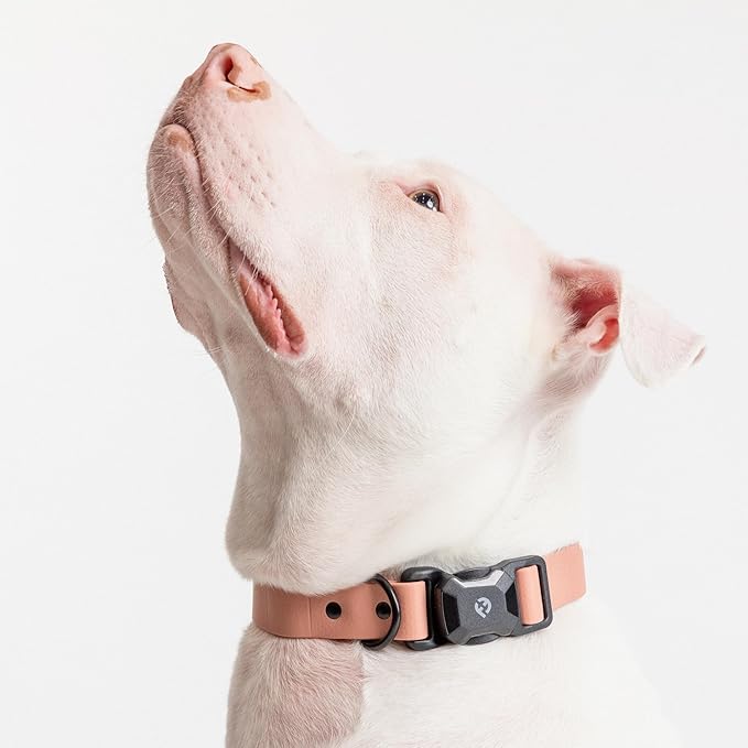 2026 New Edition, Fei & Eve PVC MagEase Dog Collar - Patented Magnetic Buckles | Quick-Release | 450LB Escape-Proof | Fur-Safe | Adjustable Fit | Large Blush