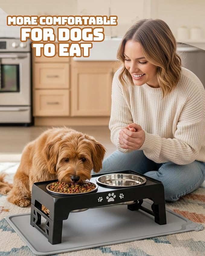 Elevated Dog Bowls, Dog Feeder with 2 Stainless Steel Dishes, 2 Heights Adjustable Raised Stand for Small Dogs, Food Dishes with Non-Slip Feet