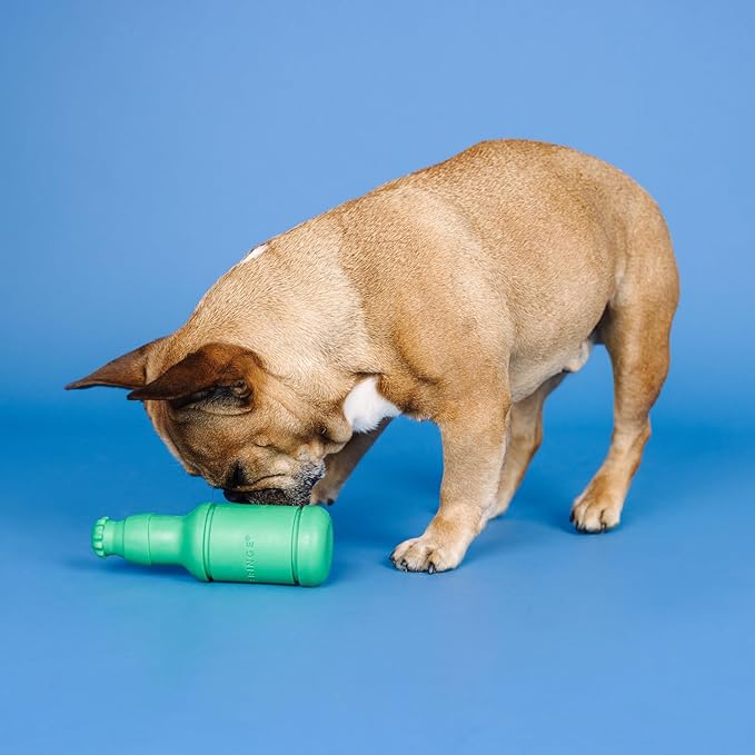 Fringe Studio Beer O'CLOCK Rubber Dog Toy with Plush Exterior, Pet Shop Collection (519025)