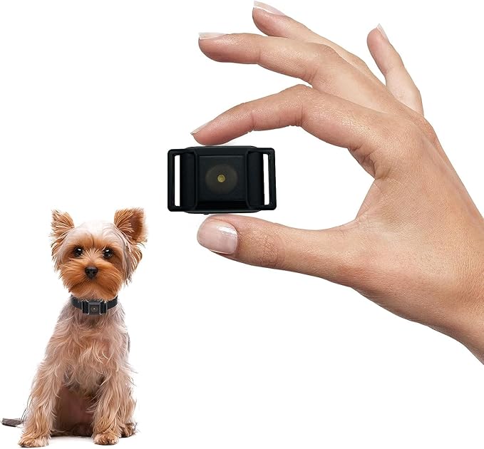 Tiniest Bark Collar for Small Dogs 5-15lbs, Only 1.6 * 1in & 0.42oz, No Shock with Vibration &Sound, Extra Small & Rechargeable, 5 Sensitivity Levels（Black）