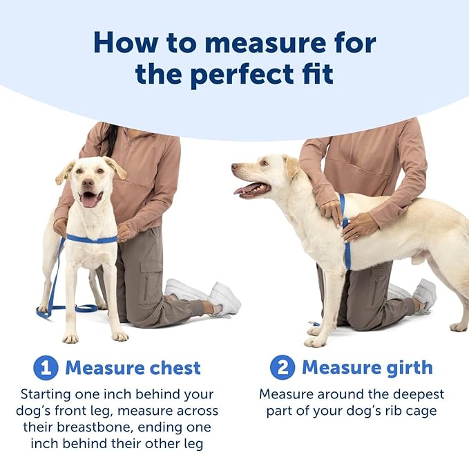 PetSafe Easy Walk Harness for Dogs - Pull-Free Walks - Patented Martingale Loop Design - Front Chest Leash Attachment - Comfort Straps - Breathable Harness Design - Large, Red/Black