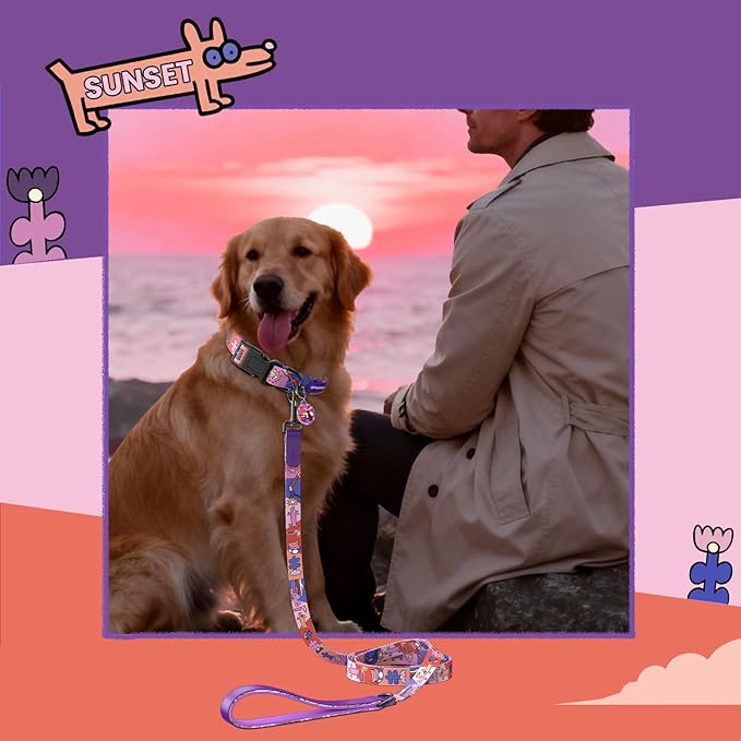 Dog Collar and Leash Set, QR Tag Adjustable Pet Collar, 5 FT Heavy Duty Dog Leash, Padded Handle, Quick Release Buckle, Metal Ring, 360° Swivel Clip for Medium Dogs Walking Running (Purple, M)