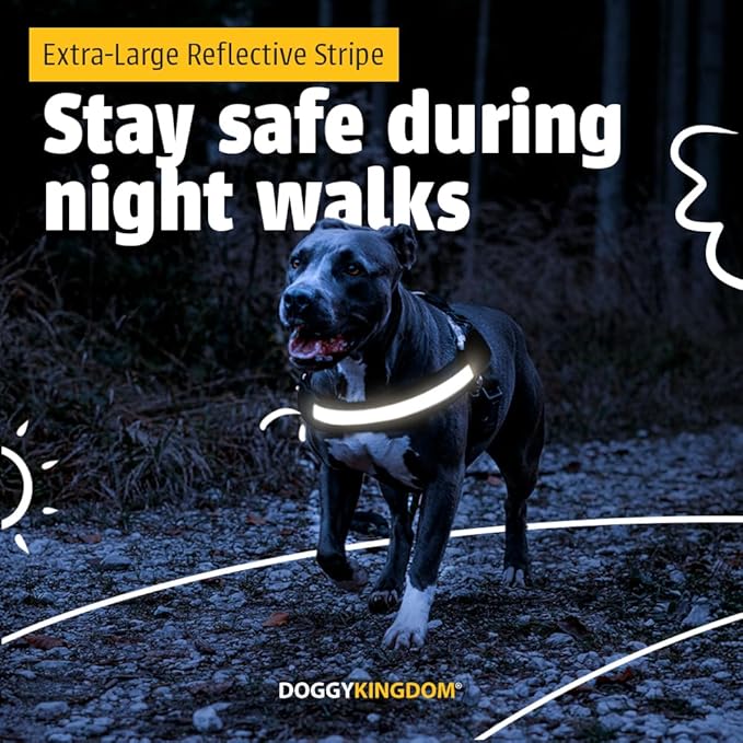 Non Pull Dog Harness with Patch Panels and Handle, Adjustable, Reflective, No Choke, Heavy Duty Easy On Service Dog Vest Harnesses for Medium Large Small Sized Dogs - USA, L