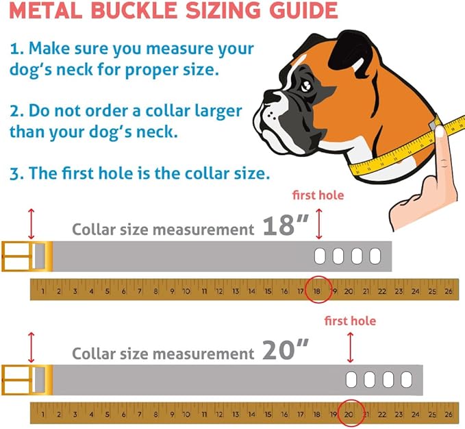 GoTags Embroidered Reflective Dog Collars with Metal Buckle, Personalized Dog Collar Custom Embroidered with Pet Name and Phone Number, Sizes for Puppy and Dogs Extra Small, to Medium and Large