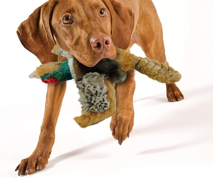 ALL FOR PAWS Dog Interactive Pheasant Toys, Squeaky Dog Toys, Stuffed Animal Dog Hunting Plush Toy, Small