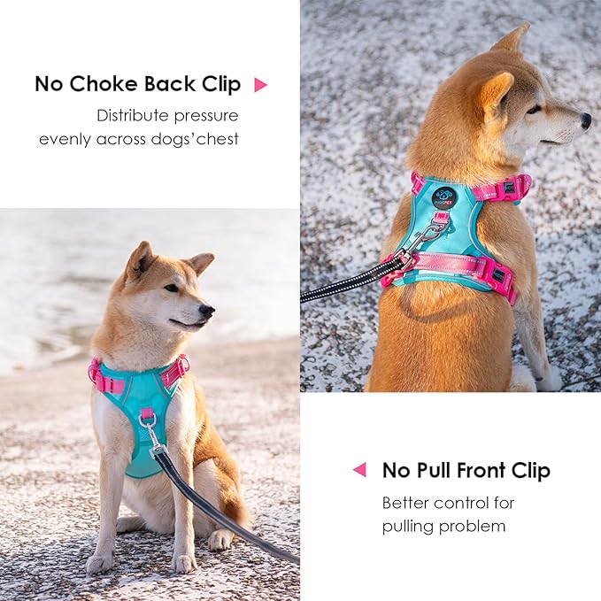 PHOEPET No Pull Dog Harness, Unique Colors Reflective Adjustable Dog Vest, with Soft Training Handle Metal Clips for Small Medium Large Dogs (Mint Green Base & Pink Straps,L)