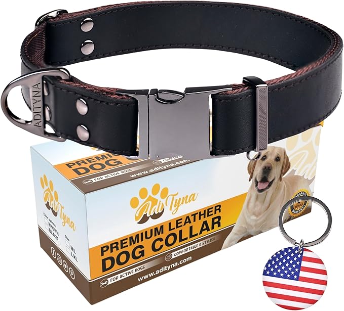 ADITYNA Leather Dog Collar with Metal Buckle - Heavy-Duty, Adjustable for Medium & Large Dogs - Walking, Training, Tactical (Black, Fits 15-21" Necks)