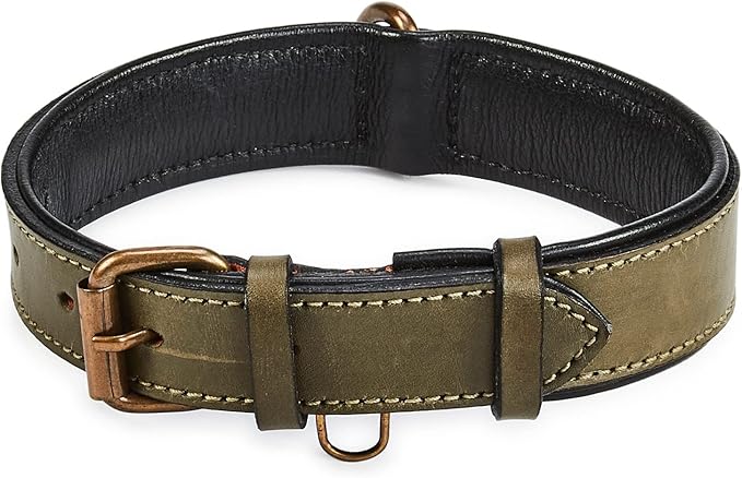 Real Leather Dog Collar Padded Soft Interiors with Premium Vintage Look Handcrafted Heavy Duty with Tag Ring for Small Medium and Large Pets (Medium (1.25" Wide for 13.5" - 17.5" Neck), Olive)
