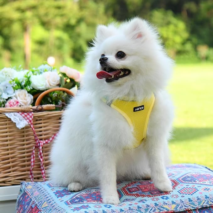 AMTOR Small Dog Harness with Leash Set, No Escape Easy Walk Puppy Harnesses for Training Walking, Step-in Reflective Soft Dogs Vest for XS S Medium Extra-Small Large Sized Dog(XL,Yellow)