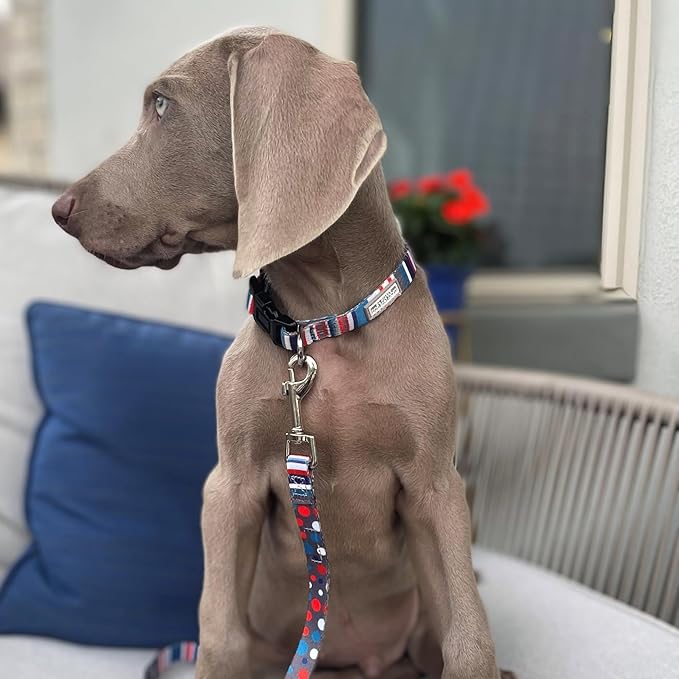 Lucky Love Dog - Adjustable Dog Collar and Leash Set with Easy Click Buckle for Large Dogs, Durable, & Comfortable Collar for Male & Female Dogs, Puppies & Adult Ones - Linus Combo, Large