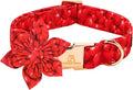 Lionheart glory Dog Collar with Flower - Valentine's Day Dog Collar for Small Dogs Red Hearts Print Collars Soft Adjustable with Flower Male Female Dogs Spring Cute Collars