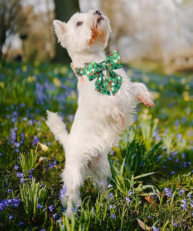 DOGWONG Green Lucky Clover Shamrock Dog Collar with Bowtie, Soft Adjustable St. Patrick's Day Lucky Charm Puppy Collar for Small Medium Large Dog