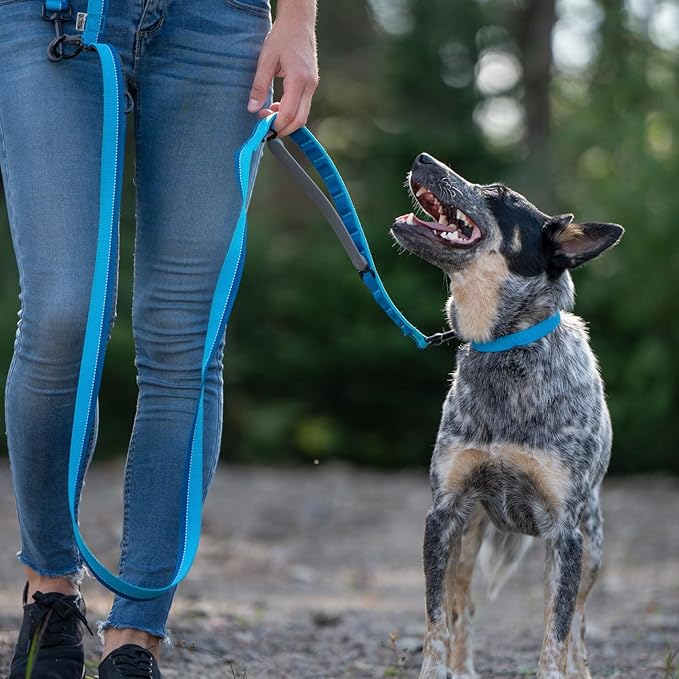 Hands Free Dog Leash - Waist Leash for Walking and Hiking with Medium and Large Dogs, Adjustable 4 to 6 FT Bungee Lead with Traffic Handle by Nuvuq (18-120 lbs, Blue)