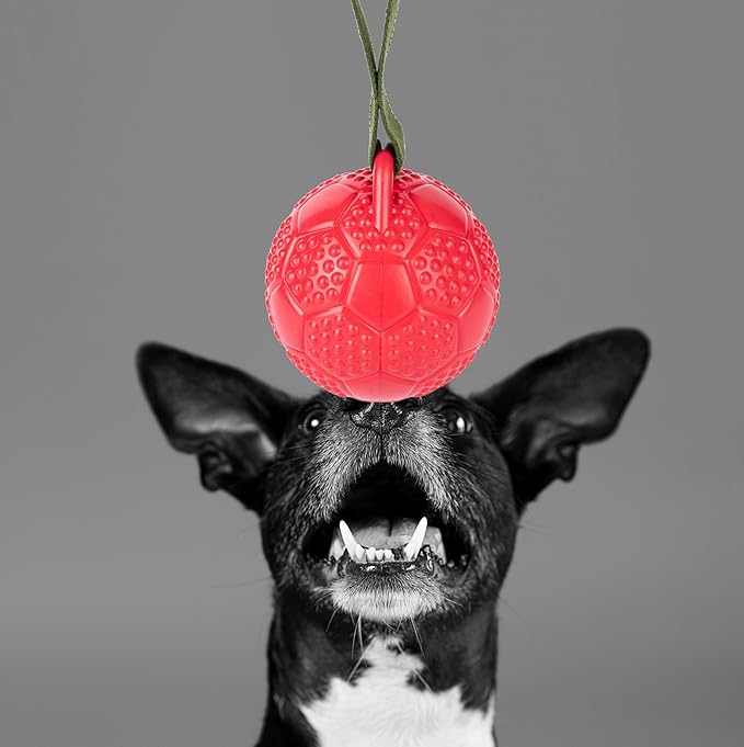 Eco Rubber Chuck & Treat Soccer Ball - Red - Long Lasting Dog Chew Toys for Aggressive Chewers Strong Dog Toy for Dogs Durable Puppy Toys 13cm