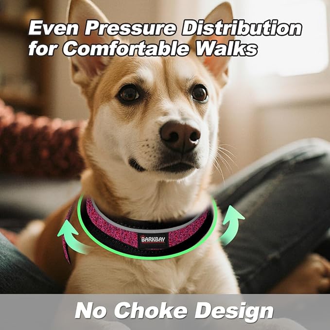 Dog Harness and Leash Set,Step in Small Sized Dog Harness,Soft Mesh,No-Chock,Reflective Adjustable,Secure with Hook & Loop Fastener,Puppy Vest for Small,Medium Dogs(Pink/Black,L)