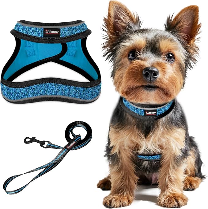 Dog Harness and Leash Set,Step in Small Sized Dog Harness,Soft Mesh,No-Chock,Reflective Adjustable,Secure with Hook & Loop Fastener,Puppy Vest for Small,Medium Dogs(Blue/Black,M)