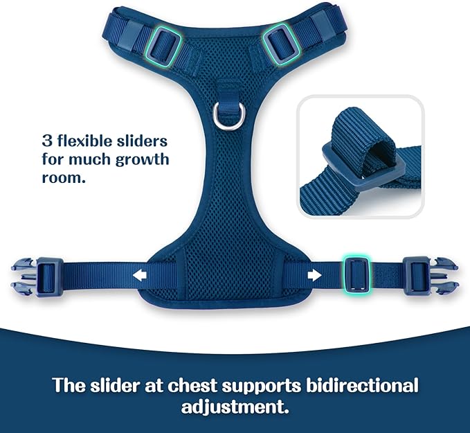 No Pull Dog Harness for Small Medium Large Dogs - Adjustable 2 Layer Mesh Dog Vest with Dual Clip, Escape Proof, Quick Release, Lightweight Breathable Mesh for Walking Hiking (Prussian Blue,L)