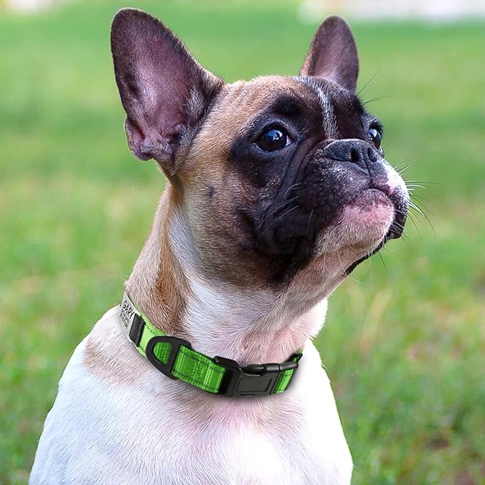 Joytale Personalized Dog Collars with Engraved Name Plate, Silent No Jingle Custom Nylon Collar with Fixed ID Tag, Reflective Soft Neoprene Padded Breathable for Puppy and XSmall Dogs, Green