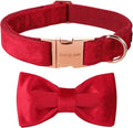 ARING PET Bowtie Dog Collar,Velvet Dog Collars with Removable Bowtie, Christmas Adorable Dog Collar, X-Large.