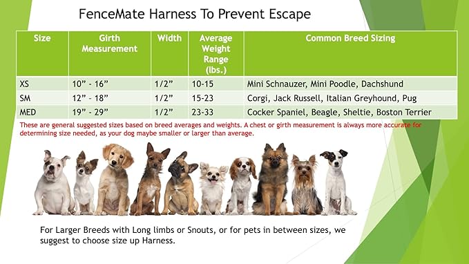 FenceMate Small Dog Harness with Attached Balls Dog Collar to Prevent Escape Through Fence Openings (Medium) Fits Girth or Chest Size 19"-29" Improved Fence Blockers for Dogs