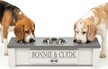 GTW Personalized Elevated Triple Dog Bowl Stand for Large, Medium, Small, X-Small Dogs - 3 Stainless Steel Food and Water Bowls - Raised Dog Dish with Internal Storage (Small, Grey)