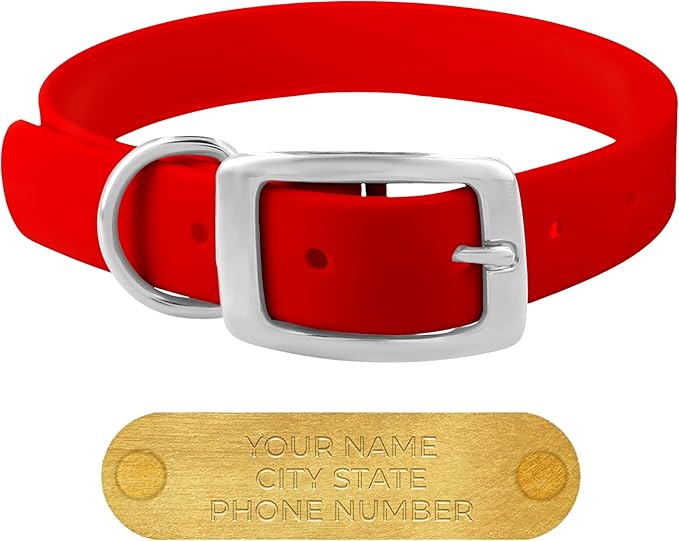 Regal Dog Products Small Red Waterproof Dog Collars with Custom Engraved Name Plate | Vinyl Coated, Anti, Easy to Clean Personalized Biothane Dog Collar - Other Sizes for Medium & Large Dogs