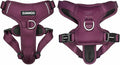 DJANGO Tahoe No Pull Dog Harness – Escape-Proof Dog Harness for Large & XL Dogs with Front & Back Clips for Everyday Use – Adjustable, Padded, Reflective, Secure, Easy On/Off – Raspberry Purple, XXL