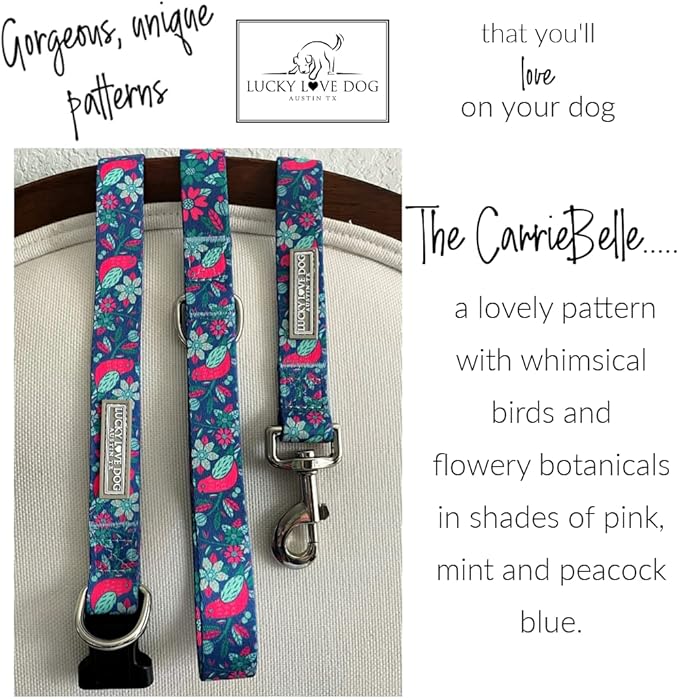 Lucky Love Dog Leash – Soft, Durable, and Comfortable Leash with Vibrant Patterns – Stylish and Long Lasting for Small Male and Female Dogs – Carriebelle, Small