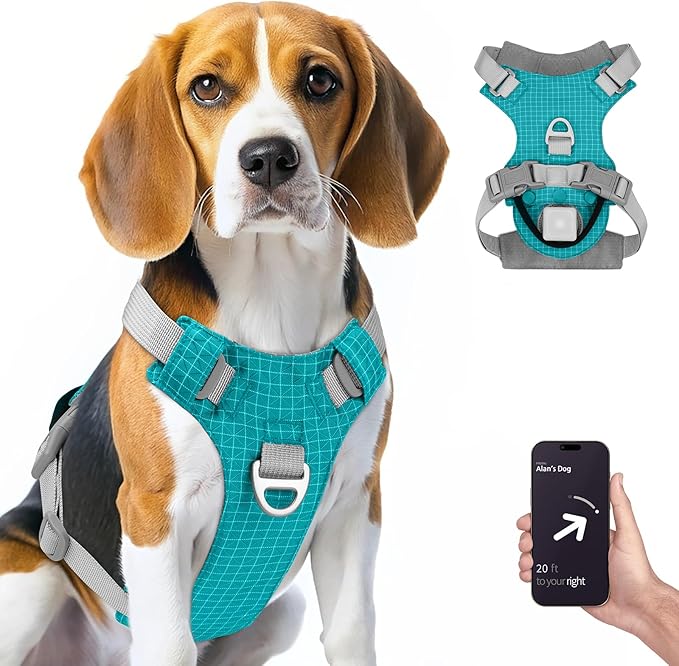 TagME No Pull Dog Harness with 2 Leash Clips,Lightweight & Visible for All-Day Walking,No Choke Pet Vest Includes AirTag Holder for Medium Dogs,Teal