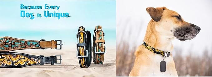Majestic Ally Leather Dog Collar with Adjustable, Padded Fit for Walking, Hiking, and Running, Designer Western Wear for Puppies, Fancy Colors (Turquoise - Natural, Extra Large)